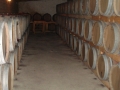Wine barrel storage at Elenov Winery