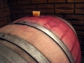 Wine barrel storage at Elenov Winery