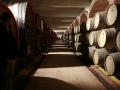 Wine aging in oak barrels at Tikves Winery