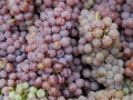 Pink Traminec Grapes