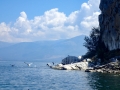 Pelicans, cormorants and other birds on the Island of Golem Grad