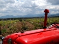 Tractor at Bovin's vineyards at Lepovo Hill