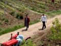 Workers in Bovin's vineyards at Lepovo Hill