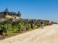 The Chateua and the Vineyards at Chateau Kamnik Winery The Chateua and the Vineyards at Chateau Kamnik Winery