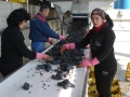 Processing grapes at Dalvina Winery