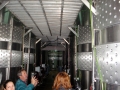 Stainless steel tanks at the Pivka Winery