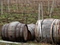 Old wine barrels in the vineyards at Popov Winery