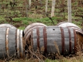 Old wine barrels in the vineyards at Popov Winery