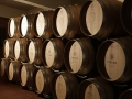 Wine aging in oak barrels at the Tikves Winery