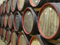 Wine aging in oak barrels at the Tikves Winery