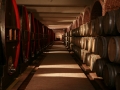 Wine aging in oak barrels at the Tikves Winery