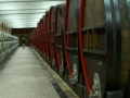 Wine aging in oak barrels at the Tikves Winery