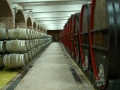 Wine aging in oak barrels at the Tikves Winery