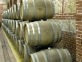 Wine aging in oak barrels at the Tikves Winery