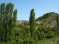 mBeljakovce 050208 3077 mBeljakovce 050208 3077