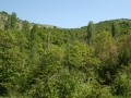 mBeljakovce 050208 3091 mBeljakovce 050208 3091