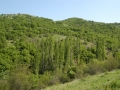 mBeljakovce 050208 3108 mBeljakovce 050208 3108