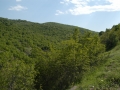 mBeljakovce 050208 3113 mBeljakovce 050208 3113