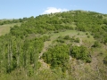 mBeljakovce 050208 3115 mBeljakovce 050208 3115