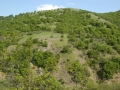 mBeljakovce 050208 3116 mBeljakovce 050208 3116