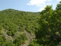 mBeljakovce 050208 3117 mBeljakovce 050208 3117