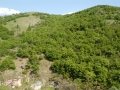 mBeljakovce 050208 3118 mBeljakovce 050208 3118