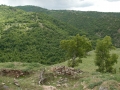min-Golem Kozjak 051108 1073