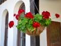Flowers hanging outside Church of the Holy Saviour (Sv Spas) in Skopje