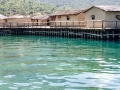 Pile Dwelling Settlement at the Bay of the Bones at Plocha Mikov Grad on Lake Ohrid