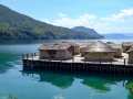 Pile Dwelling Settlement at the Bay of the Bones at Plocha Mikov Grad on Lake Ohrid