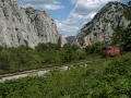 A train chugging along through Demir Kapija canyon