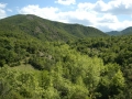 Nearby forested mountains to Demir Kapija canyon