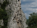Vardar river cutting through the rock cliffs in Demir Kapija canyon