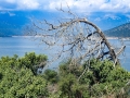 Golem Grad (Snake Island) with a view of Lake Prespa
