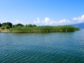 View of Lake Prespa on the way to the island of Golem Grad by boat