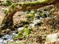 Koleshino Waterfalls, Koleshino, Strumica, Macedonia Koleshino Waterfalls, Koleshino, Strumica, Macedonia