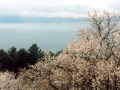 An elevated view of Lake Ohrid