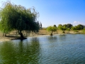 Lake Prespa and the shoreline near Dolni Dupeni