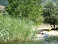 Lake Prespa and the shoreline near Dolni Dupeni