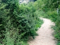 A trail leading to the Peshna Cave A trail leading to the Peshna Cave