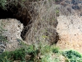Medieval fortress at the opening of Peshna Cave Medieval fortress at the opening of Peshna Cave