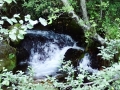 Vevchani Springs, Vevchanski Izvori