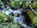 Vevchani Springs, Vevchanski Izvori
