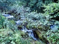 Vevchani Springs, Vevchanski Izvori