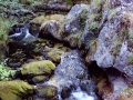 Vevchani Springs, Vevchanski Izvori