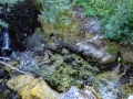 Vevchani Springs, Vevchanski Izvori