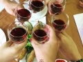 Bovin-Winery-Macedonia-Summer-Fun-13-Wine-Glasses