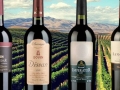 Bovin-Winery-Macedonia-Product-Line-Overview-01