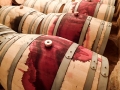 Barrels at the Bovin Winery