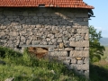 m08Beljakovce 050208 3150 m08Beljakovce 050208 3150